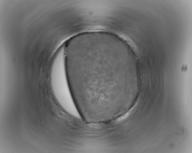 X0000092021457200709061543