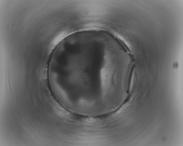 X0000092021459200709061543