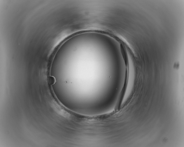 X0000092021460200709061543