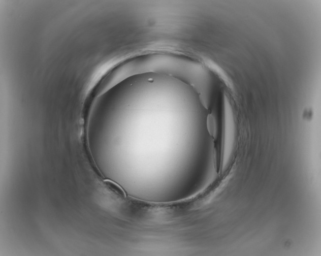 X0000092021461200709061543