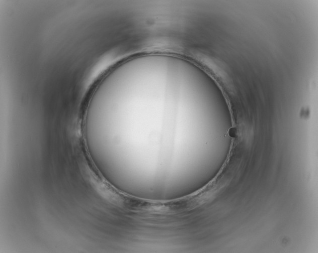 X0000092021462200709061543