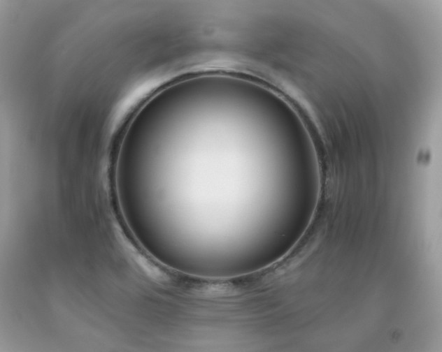 X0000092021464200709061543