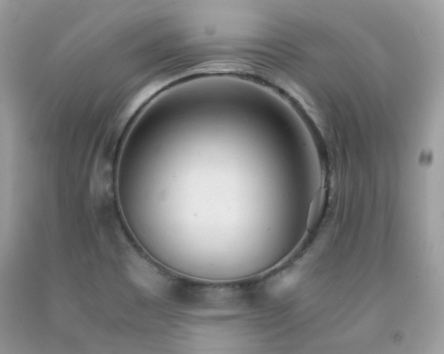 X0000092021465200709061543
