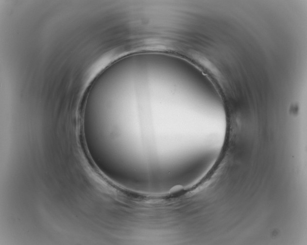 X0000092021467200709061543