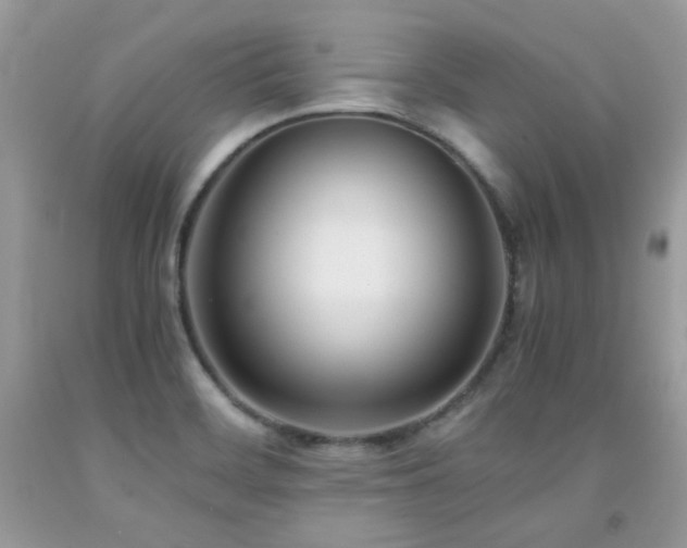 X0000092021468200709061543