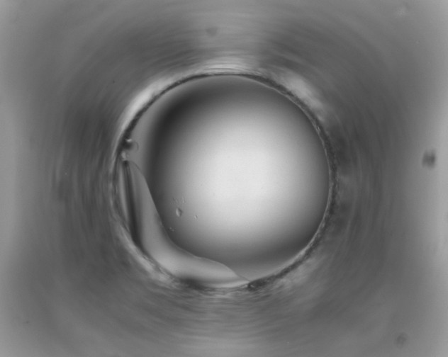 X0000092021469200709061543
