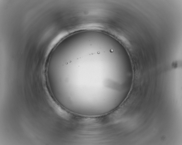 X0000092021470200709061543