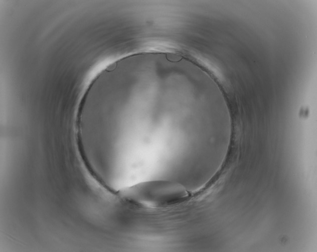 X0000092021471200709061543