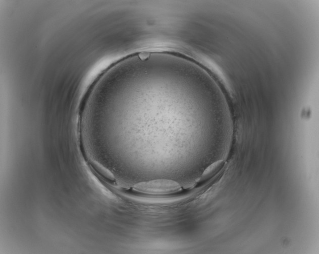 X0000092021472200709061543