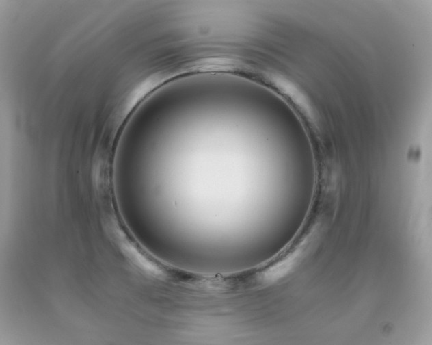 X0000092021473200709061543