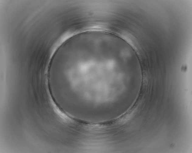 X0000092021474200709061543