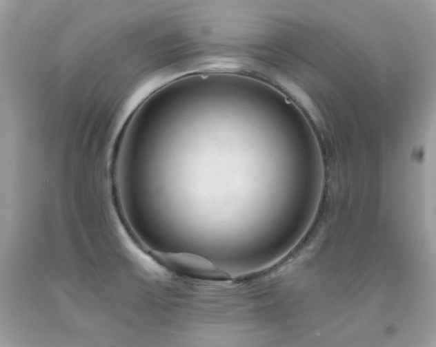 X0000092021475200709061543