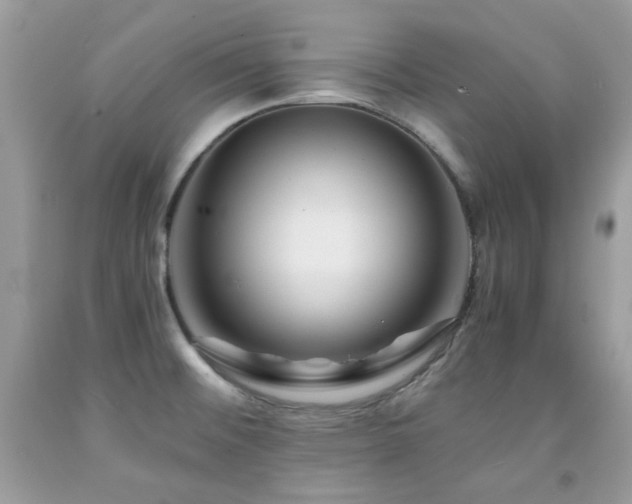 X0000092021476200709061543