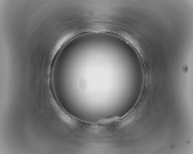 X0000092021477200709061543