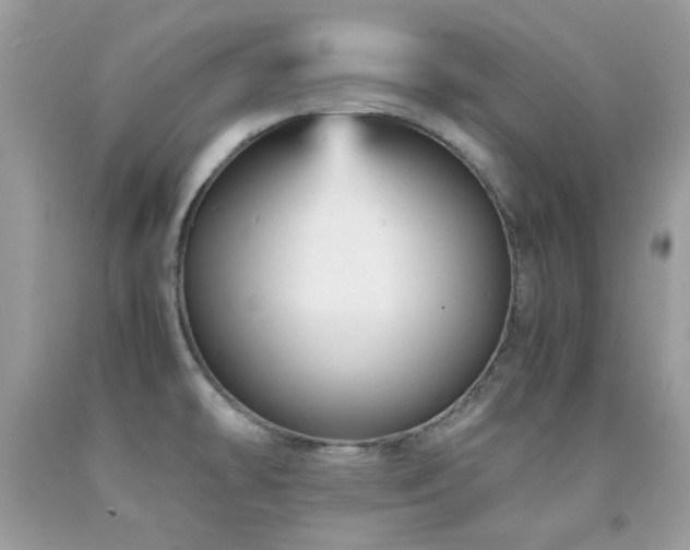 X0000092021478200709061543