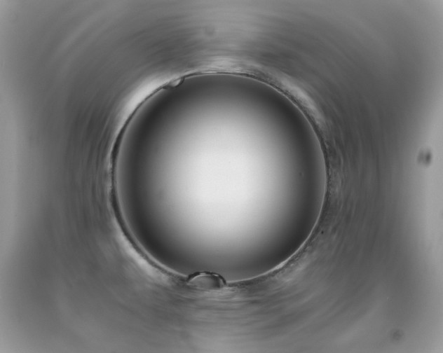 X0000092021479200709061543