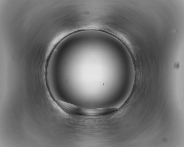 X0000092021480200709061543