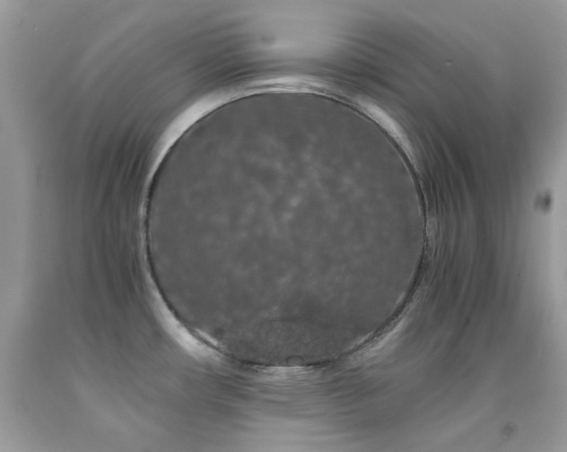 X0000092021482200709061543