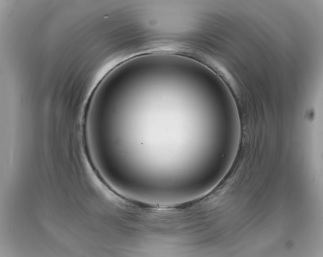 X0000092021483200709061543
