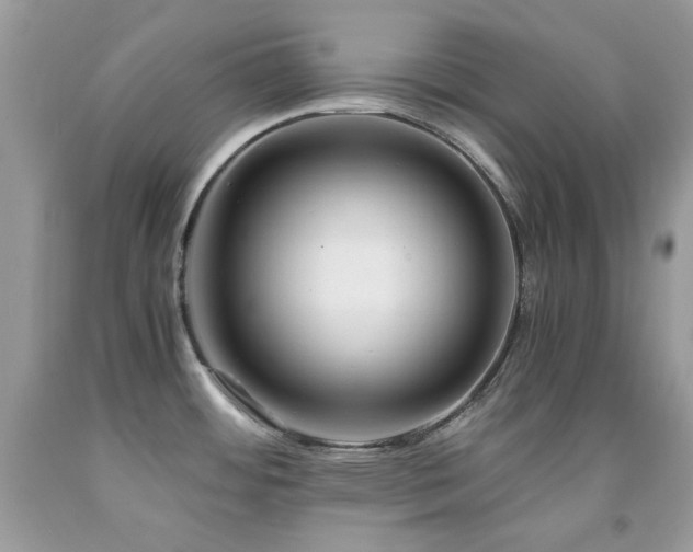 X0000092021484200709061543