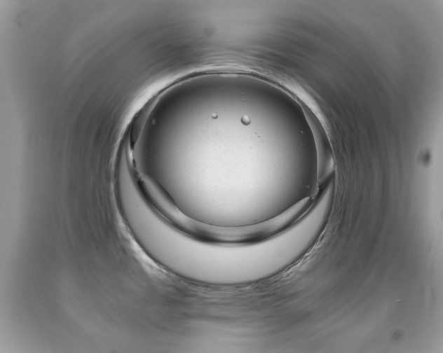 X0000092021485200709061543