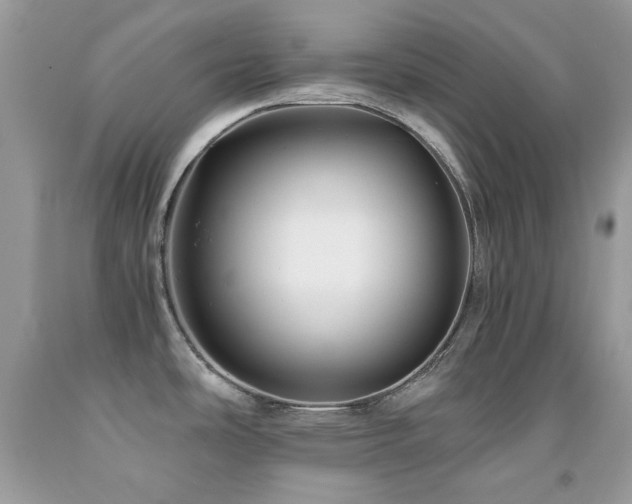 X0000092021486200709061543