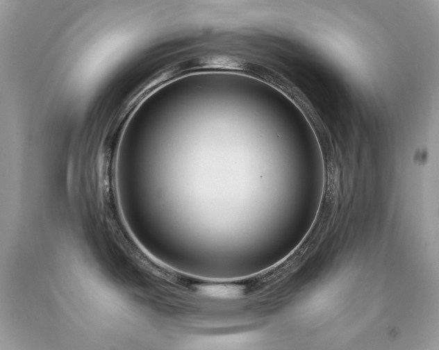 X0000092021487200709061543