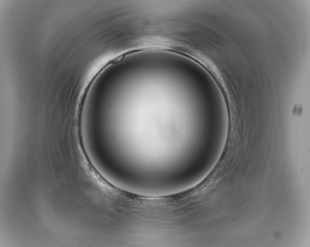 X0000092021488200709061543