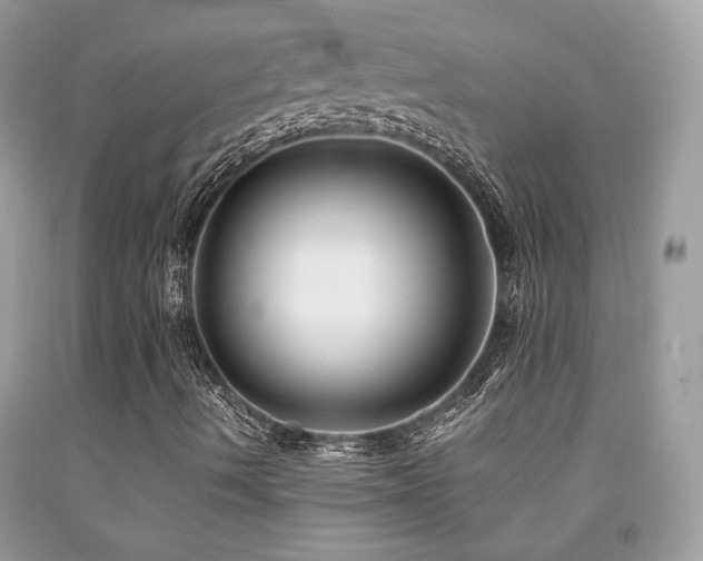 X0000092021490200709061542