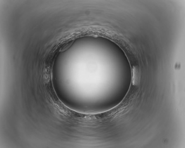 X0000092021491200709061542