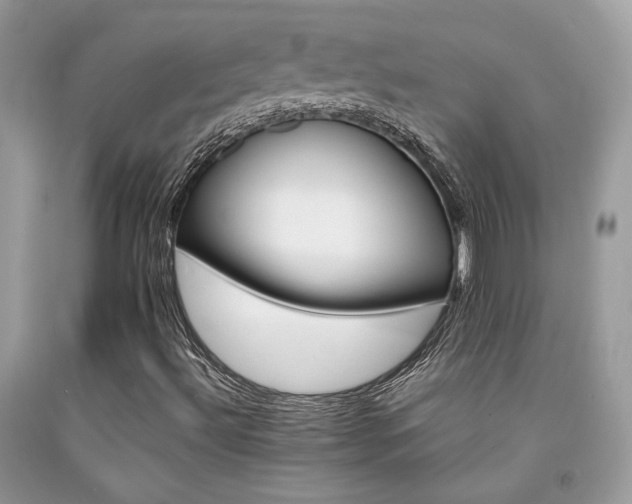 X0000092021492200709061542