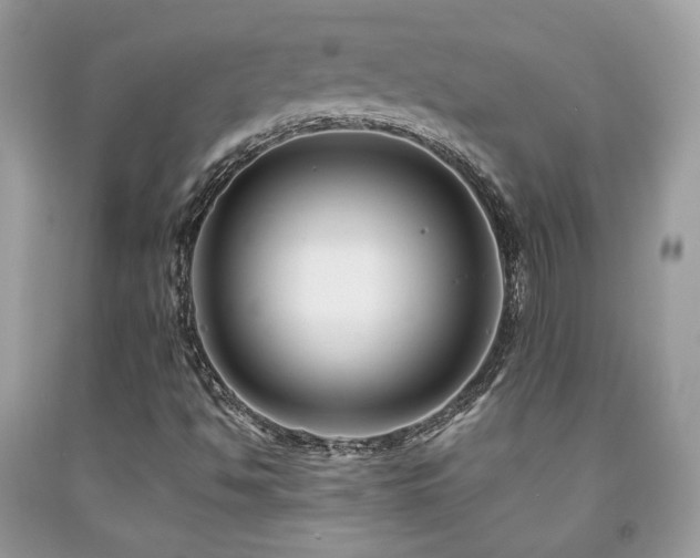 X0000092021494200709061542