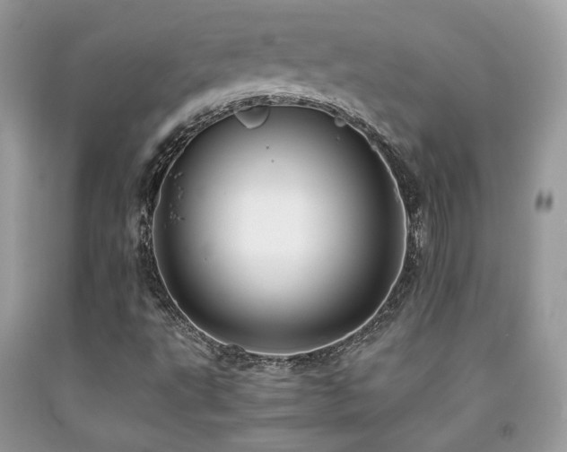 X0000092021495200709061542