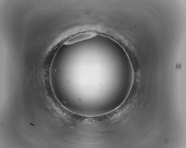X0000092021496200709061542