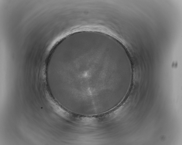X0000092021498200709061542