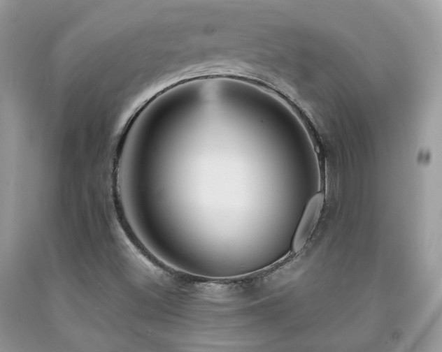 X0000092021500200709061542