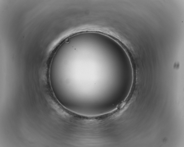 X0000092021502200709061542