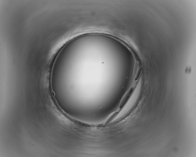 X0000092021504200709061542