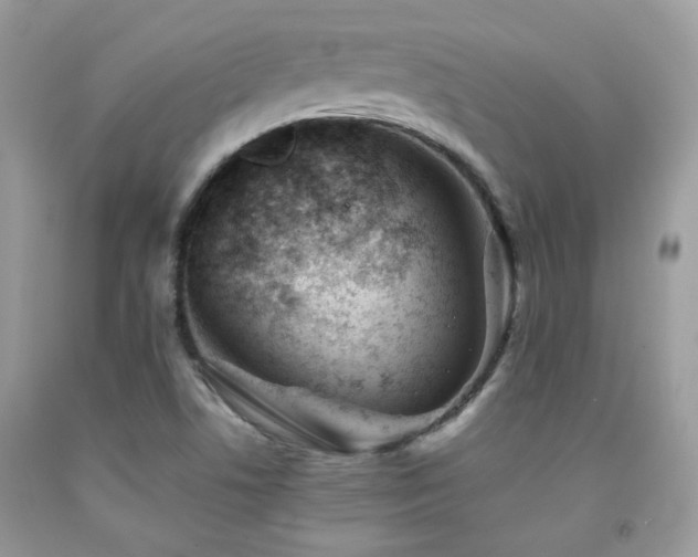 X0000092021506200709061542