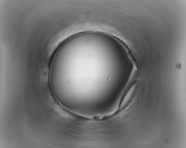 X0000092021507200709061542