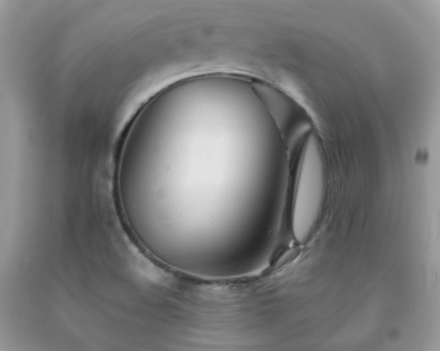 X0000092021508200709061542