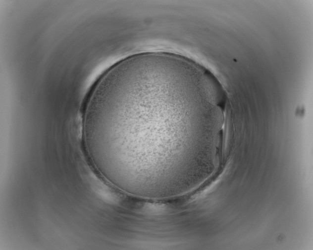 X0000092021509200709061542