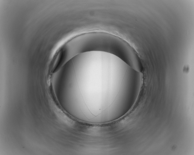 X0000092021510200709061542