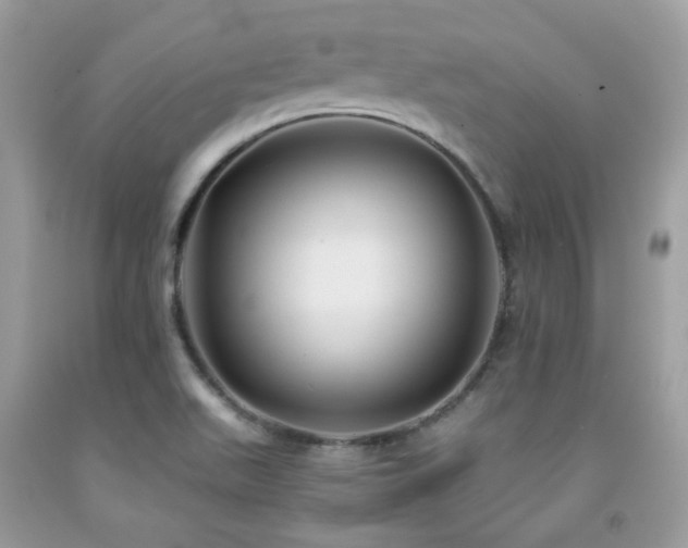 X0000092021511200709061542