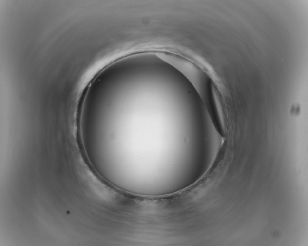 X0000092021512200709061542