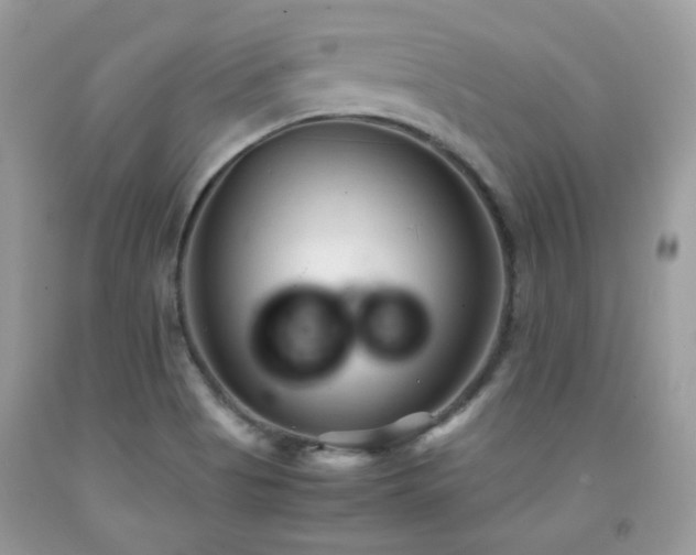 X0000092021513200709061542