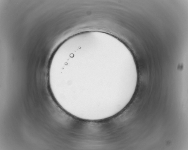 X0000092021514200709061542