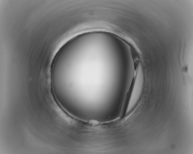 X0000092021516200709061542