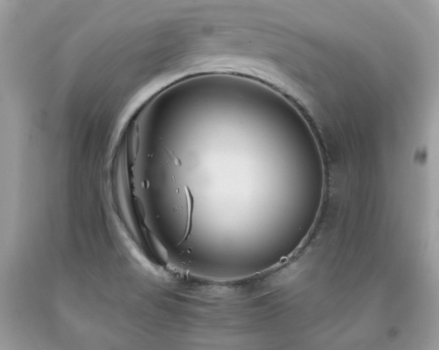 X0000092021517200709061542
