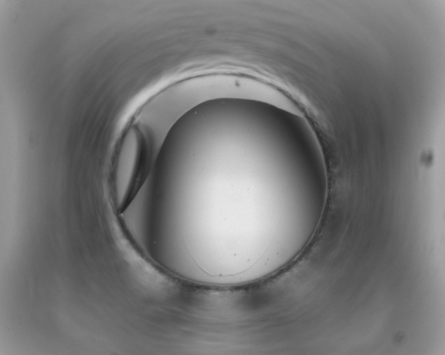 X0000092021518200709061543